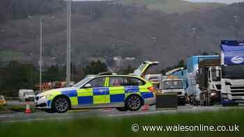 Pedestrian dies after crash on Swansea's Fabian Way