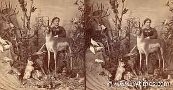 The Overlooked History of Women at Work