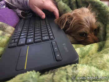 How many computers do you use regularly?