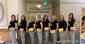 11 labour and delivery unit nurses at 1 Edmonton hospital pregnant at the same time