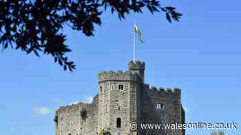 Are there parts of Wales' history that all children should be taught about in school?