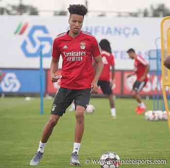 Ebuehi Set To Leave Benfica On Loan
