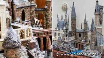 The incredible Hogwarts castle a Llanelli woman made from household rubbish