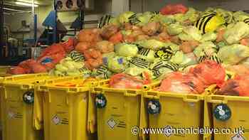 MP calls for inquiry after body parts left abandoned at Newcastle waste site for over a year