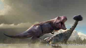 Scientists now know what didn't kill off the dinosaurs