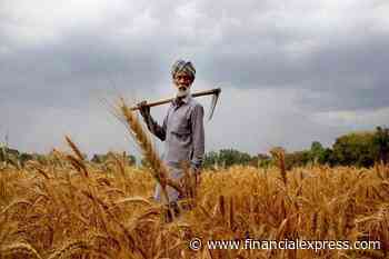 Farm sector growth may reach 3.1% in this fiscal: NITI Aayog member Ramesh Chand
