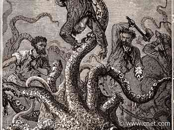 Legendary, mysterious giant squid's genome revealed     - CNET
