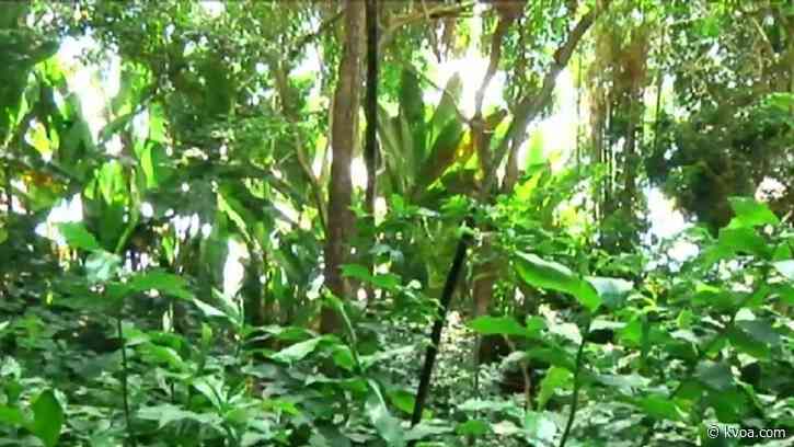 Biosphere 2 reopens rainforest section to the public