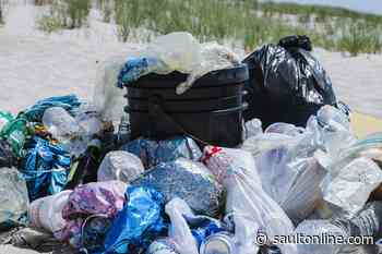 City Studying the Elimination of Plastic Bags