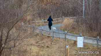 Mayor John Tory hopes funding to revive ravines will start flowing this year