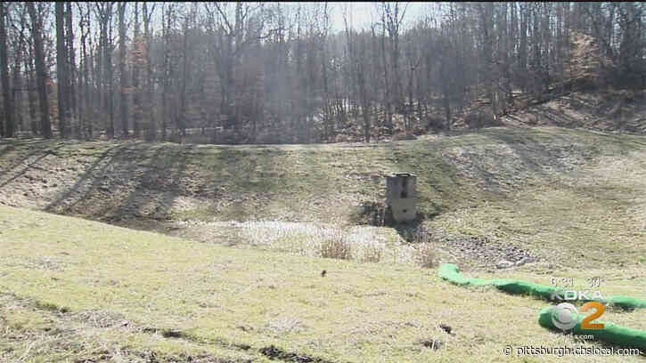 Man Claims Pine Township Caused $75,000 Worth Of Damage To His Yard