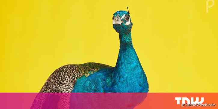 You can stream NBC Universal’s Peacock service for free