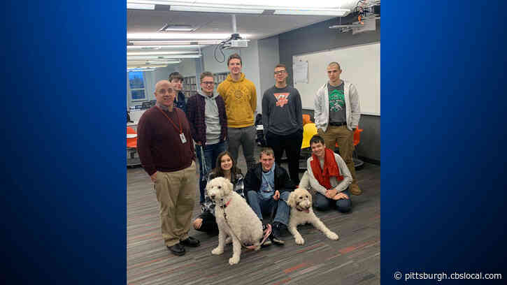 North Hills High School Students Building Prosthetic Leg For 6-Year-Old Goldendoodle Diagnosed With Bone Cancer