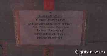 Central Alberta village pleads guilty to improper application of pesticide in case that saw 2 dogs die