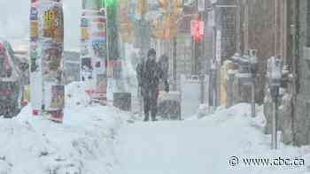 Snow falling, winds ramp up, as blizzard set to wallop Newfoundland