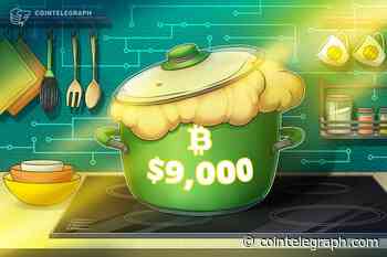 Bitcoin Price Already Up 25% in 2020 After Hitting $9,000