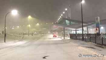 Raging blizzard brings eastern Newfoundland to a standstill