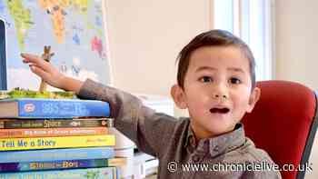 'Genius' three-year-old with staggering IQ of 142 to become Mensa's youngest member