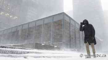 Up to 15 cm of snow coming to Toronto this weekend