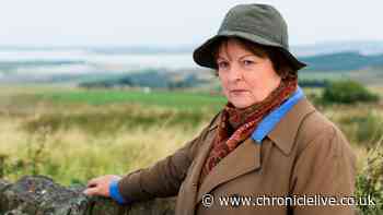 Brenda Blethyn confirms 11th Vera series will happen - to fans' delight