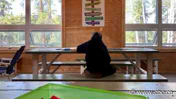 Front-line workers 'abuse' foster parents, provide false information, says N.W.T. foster coalition