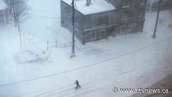 #Snowmaggedon2020: Monster N.L. snowstorm through the eyes of social media