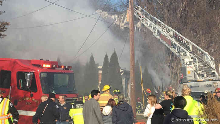 Family Loses Mobile Home, Pets In Cheswick Fire