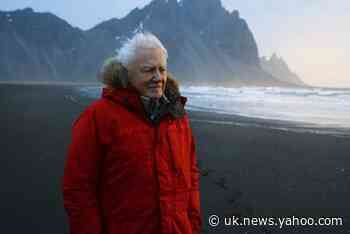 David Attenborough named as UK's dream prime minister ahead of Stephen Fry and JK Rowling