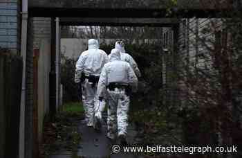 Nathan Gibson Craigavon murder linked to attack on woman who jumped out window