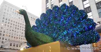 Real or Fake: New NBC Peacock Shows