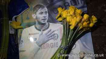 Cardiff City announce plans for Emiliano Sala and David Ibbotson tribute on anniversary of plane crash