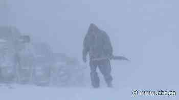 State of emergency declared in St. John's region; raging blizzard brings eastern Newfoundland to a standstill