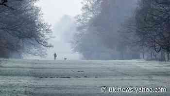 Chilly weekend ahead as temperatures plunge