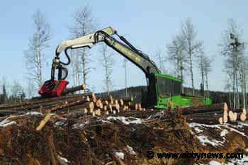 B.C. offers $5 million equipment loan program to help ailing forest contractors
