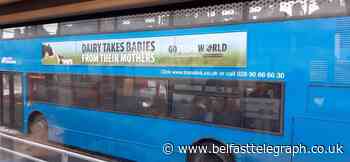 Translink 'sympathetic' to Northern Ireland farmers after vegan bus ads spark outrage
