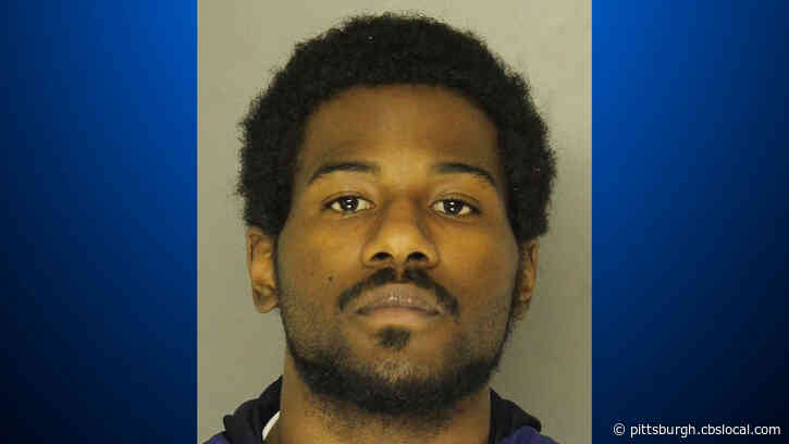 Police Seize 13,000 Heroin Stamp Bags, Ecstasy And Other Drugs During Troy Hill Bust