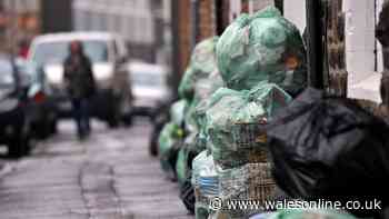 People in Cardiff who put the wrong recycling out will find their rubbish left behind with a pink sticker on