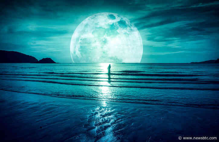 A $50,000 Bitcoin Price; How Likely is a 13-Digit Market Cap?