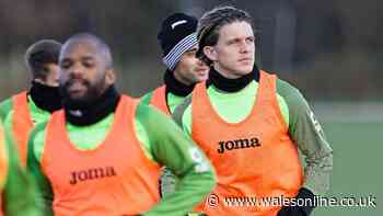 Swansea City transfer news: Steve Cooper's transfer stance after Chelsea midfielder Conor Gallagher becomes latest newcomer to join