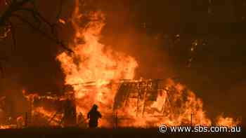 'It&rsquo;s huge': Fears 80 per cent of NSW&rsquo;s iconic Blue Mountains lost to bushfires