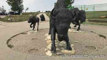 'This is a big deal:' Wanuskewin welcomes new herd of 11 bison