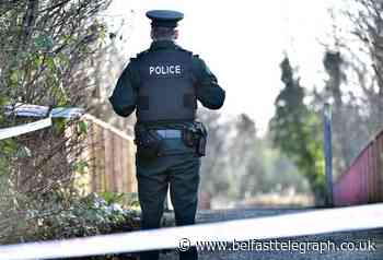 Blood-drenched killer attempted to attack victim's partner in Co Armagh home