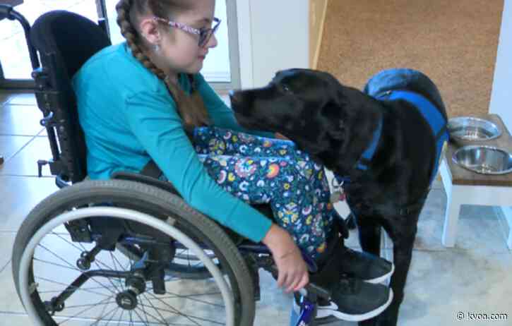 Assistance dog helps Vail girl battling rare condition become more independent