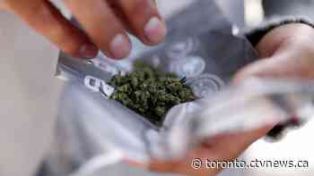 Ontario research shows risks associated with cannabis exposure during pregnancy