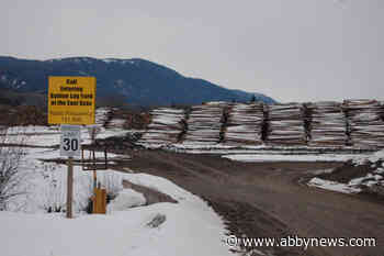 Closed mills, housing surge support a positive forecast for lumber industries