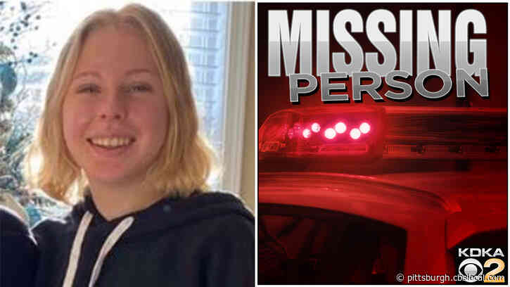 State Police Locate Missing 13 Year Old Lainey Ucman Pittsburgh News