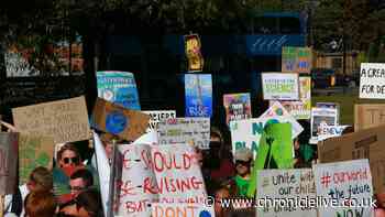 Free travel, greener homes, and no more diesel generators suggested for Newcastle climate action