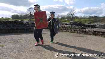 Five rewarding volunteering opportunities you can apply for today