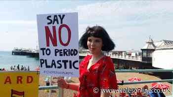 The astonishing amount of plastic in period products