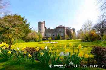 New owner sets out plans to bring back the grandeur of centuries-old Castle Upton